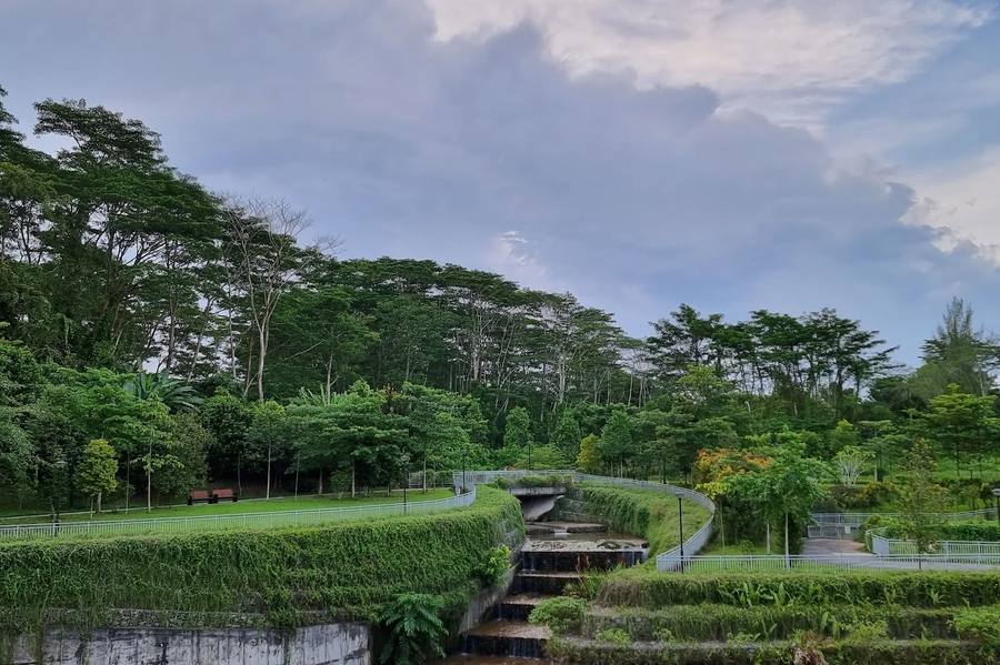 Holland Green Linear Park wetland walkway